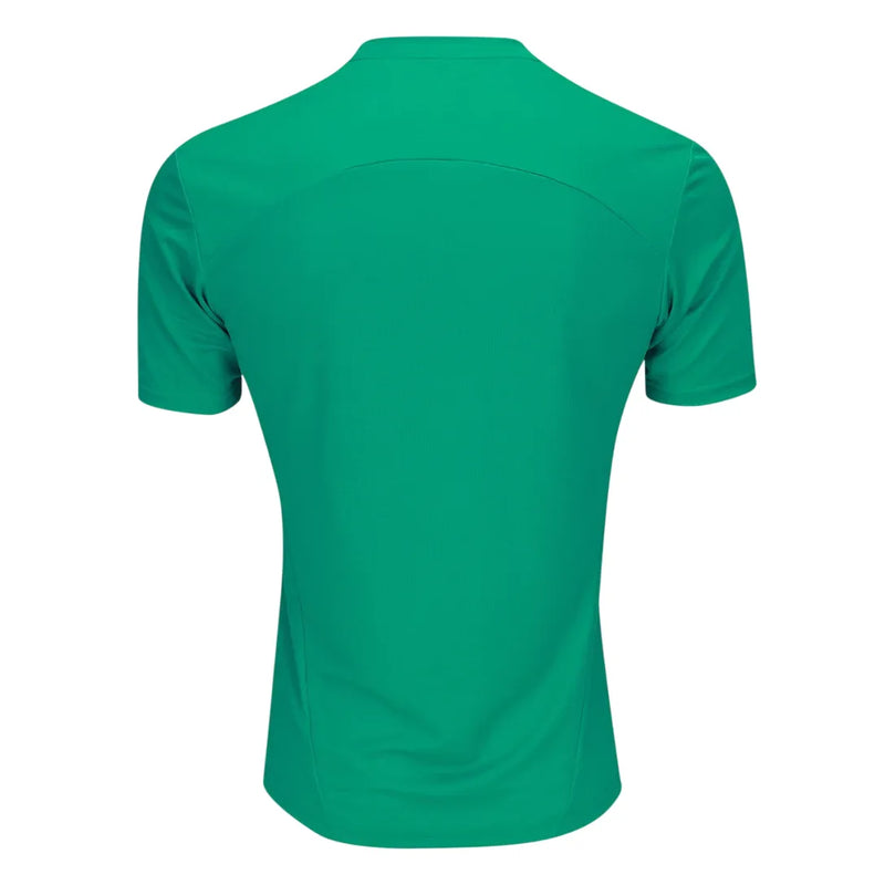Camisa Palmeiras Treino 25/26 - Verde